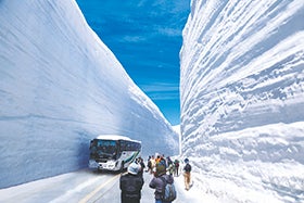 花田・三木　発 立山黒部アルペンルート通り抜けと雪の大谷ウォーク1