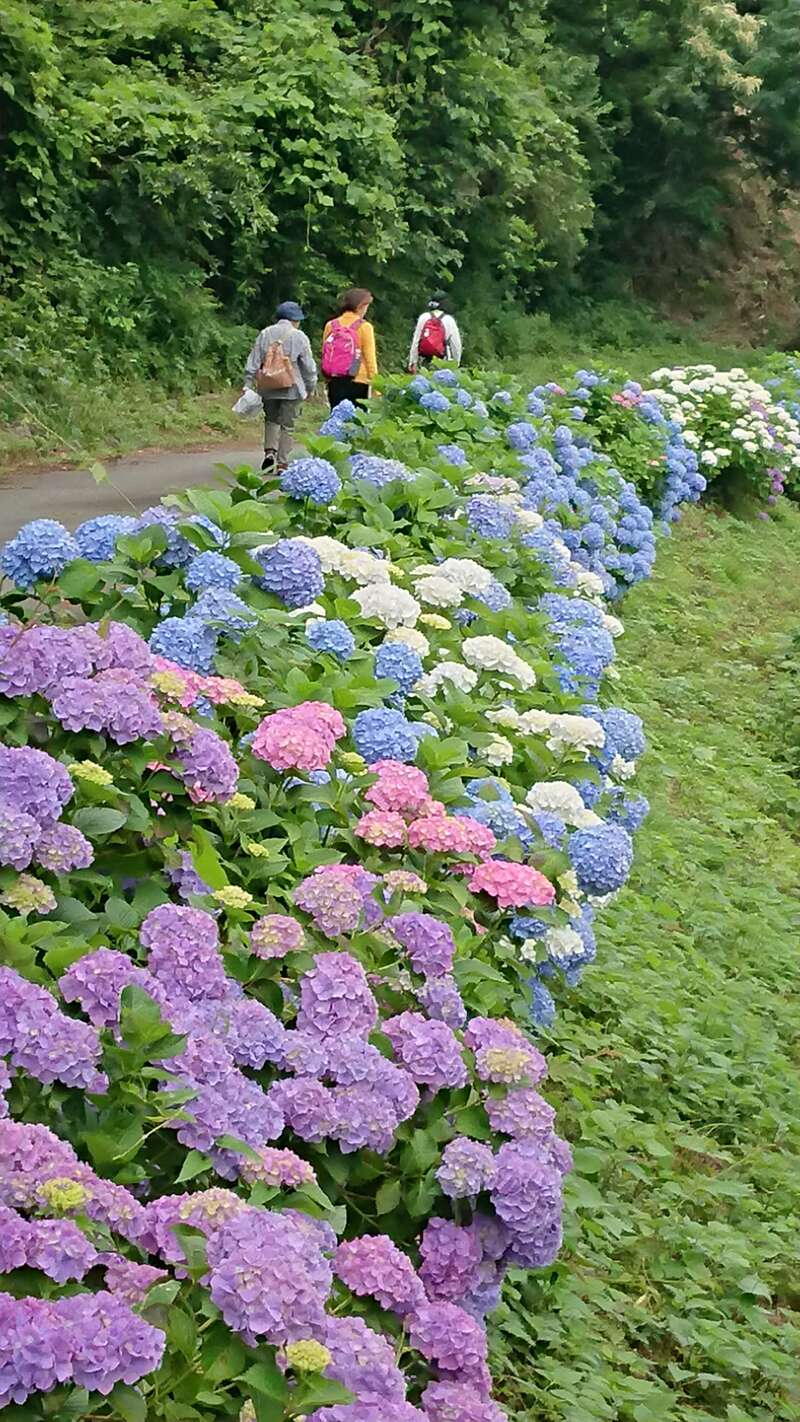 【JR福山駅発】こんな旅してみたかった！初夏の10のおもてなしツアーIN兵庫　日帰り3