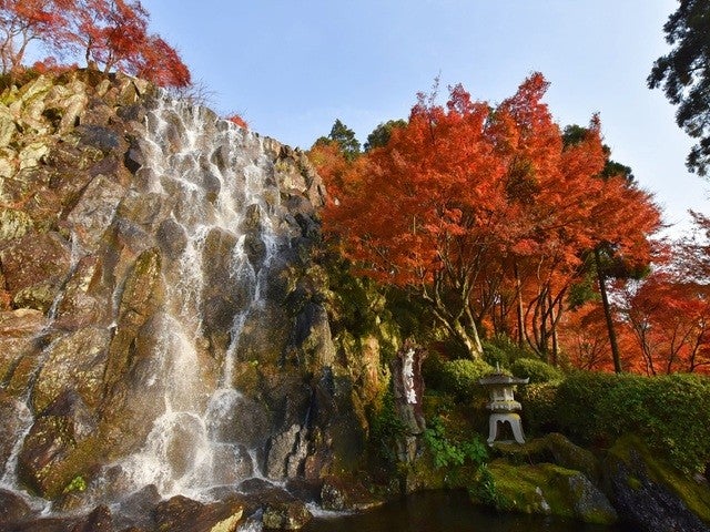 ■【博多発着】山の恵みを満喫秋の佐賀旅！山菜御膳とリンゴ狩り3