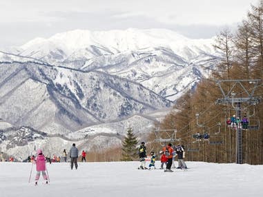 ■●【新宿発着Bタイム】朝発日帰り 群馬みなかみほうだいぎスキー場【滞在約6時間】