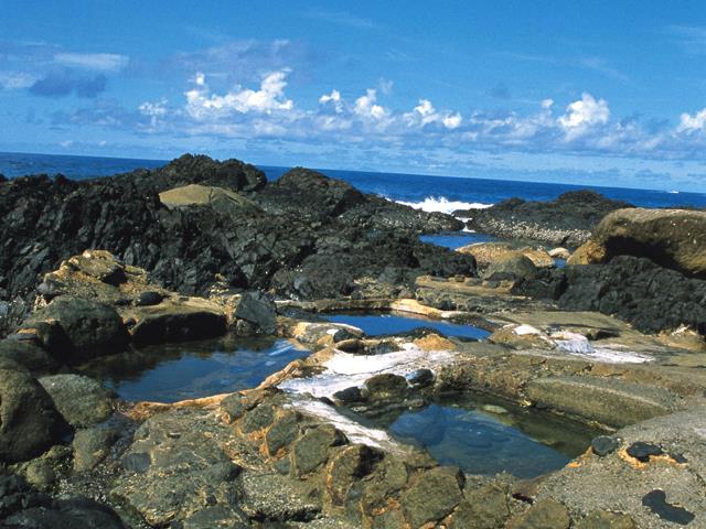 ■航空機+高速船利用で行く世界遺産「屋久島」≪フリープラン≫宿泊先を自由に選べるチョイスプラン　3泊4日3