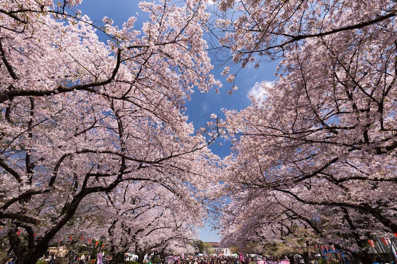 【長崎空港発】 名湯草津温泉･鬼怒川温泉３日間1