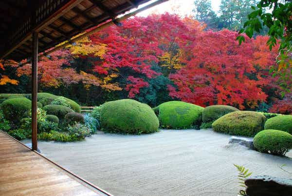 【長浜・米原・彦根・八日市発】 秋麗の京さんぽ　唐様庭園の詩仙堂と約3000本！もみじの永観堂　日帰り1
