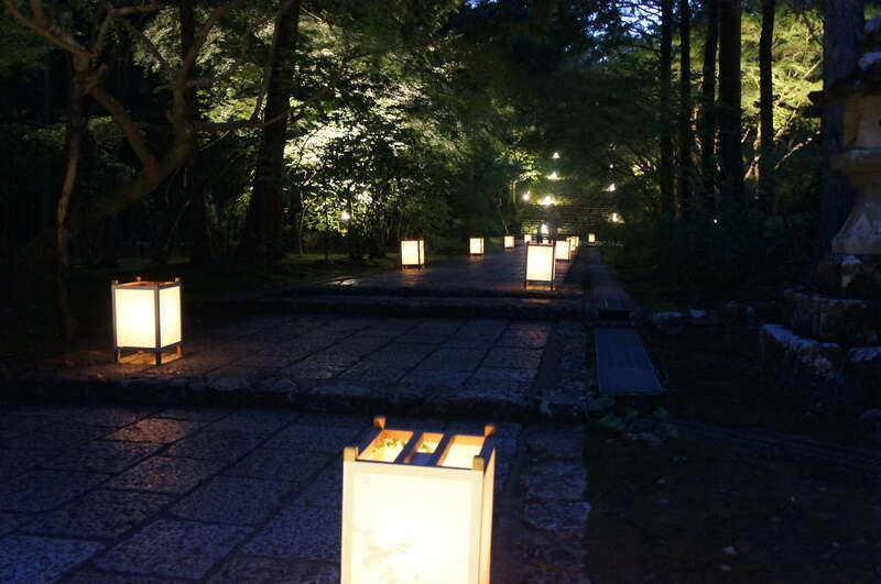 【ＪＲ和歌山駅発】 牧野植物園南園夜間貸切・竹林寺ライトアップと牧野博士ゆかりの地めぐり２日間3