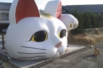 ◎WEB予約でリボンポイント２ポイント◎西尾・岡崎発＊日帰り昼食付＊『秋の知多半島ぶらり旅』1