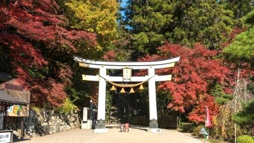 ＜Web割対象商品＞【キングツアーバス旅】関東最強パワースポットへ！ぐるっと秩父三社　秩父神社・宝登山神社・三峯神社〔新宿発〕2
