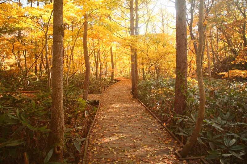 【茨城県内発】 紅葉の絶景空中散歩！ 日本最長！苗場ドラゴンドラ＆瞬間地上高日本一！田代ロープウェー3