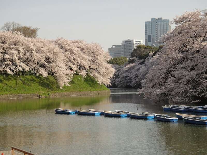 【岩手県・新幹線駅（盛岡駅～一ノ関駅）発】 【列車＋ホテル】ＪＲで行くはとバス観光ツア－付   東京さくら半日ドライブと東京フリータイム２日間3