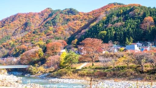 ＜Web割対象商品＞【キングツアーバス旅】秋色に染まる群馬！パノラマ絶景「谷川岳ヨッホ」空中散歩と利根川の清流が織りなす渓谷「諏訪峡」さんぽ〔調布発〕2