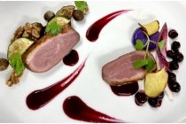 【名古屋駅発】【YUTORI】＊日帰り昼食付き＊小林一三旧邸・邸宅レストラン登録有形文化財　『大阪　雅俗山荘と「太陽の塔」内部観覧』1