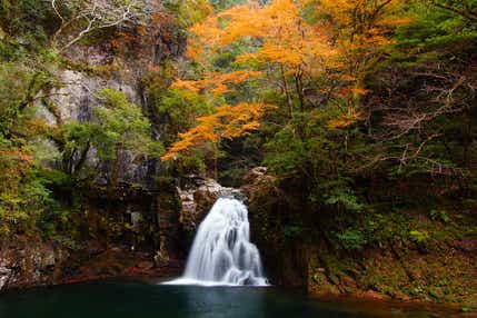 【和歌山県内発】 紅葉の名刹・長岳寺と赤目四十八滝　秋を愛でる紅葉紀行　日帰り