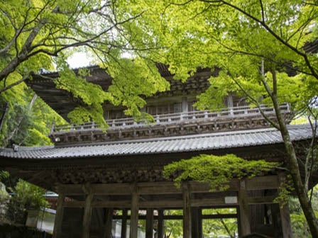 中部バス旅　初夏を感じる、永源寺をご参拝！2