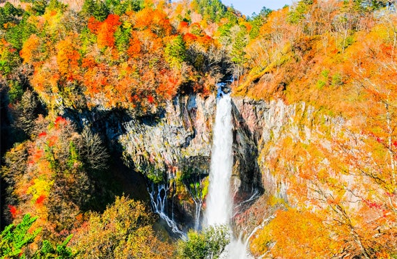 11/4催行決定★【新宿/東京発】世界遺産の日光山内で約2時間の自由散策！紅葉に染まるいろは坂と華厳の滝めぐる秋の日帰りバスツアー2