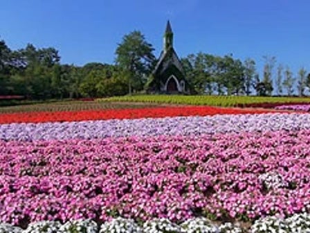 中部発 日帰り ひるがの高原牧歌の里と郡上八幡散策！さくらももこの世界＆松茸・近江牛鉄板焼き グルメ旅＜JAMJAM TOUR＞1
