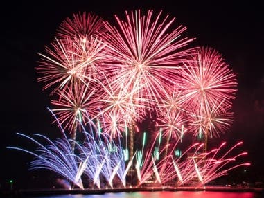 東京発　ナイアガラに酔いしれる！夜空を彩る「熱海海上花火大会」＆大迫力の「富士サファリパーク」＜JAMJAM TOUR＞