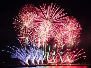 7/20催行決定！東京発　ナイアガラに酔いしれる！夜空を彩る「熱海海上花火大会」＆大迫力の「富士サファリパーク」＜JAMJAM TOUR＞1