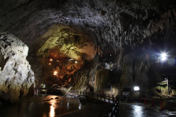 【バスハイク／博多発着】 添乗員同行 山口絶景の旅 海に映える赤い鳥居元乃隅神社 日本最大級の鍾乳洞秋芳洞 ～海鮮瓦そば・剣先イカ姿造りを味わうランチ～2