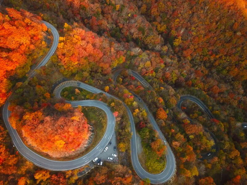 【富山県内発】 日本三大イルミネーション「あしかがフラワーパーク」と 日光・清津峡・軽井沢　秋色絶景めぐり　と　四万温泉　３日間2