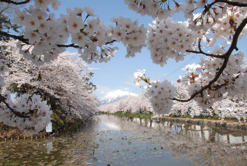 テストツアー（このツアーは予約いただけません）2