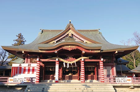 新宿発 日本最古　笠間の菊まつり アフタヌーンティーと栃木旬の果物狩り　日帰り　大きいもので1kg！栃木のオリジナル品種「にっこり梨」の収穫体験をお楽しみ！2