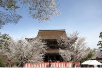 【一宮発】＊日帰り弁当付＊『一目千本！吉野千本桜deお花見』2