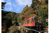 【岐阜・うずら・羽島発】＊日帰り軽食弁当付＊Ｌｅｔ’ｓハイキング！≪ハイキングツア－≫『紅葉に染まる坂本から比叡山延暦寺を歩こう』1