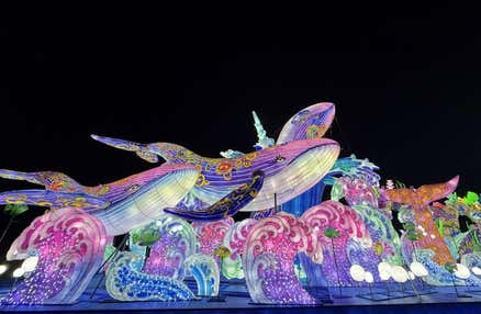 【愛犬同伴プラン】(2/14)St. Valentine's Day!! 輝く東京ドイツ村イルミネーション鑑賞＆わんちゃんといちご狩り♪海辺のBAYSIDE KANAYAでお重ランチをお楽しみの日帰りvipわんツアー！