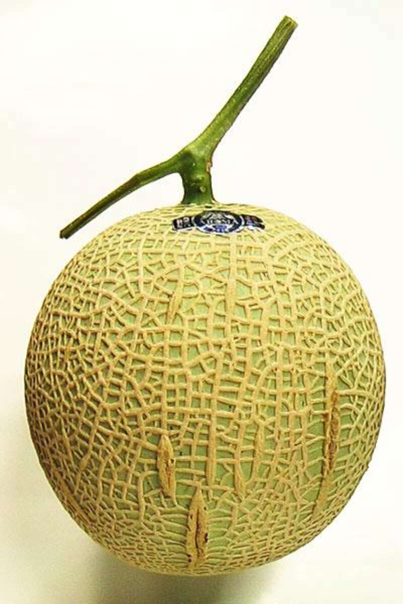 【大阪府内発】 ウ･キ･ウ･キ　ミステリーツアー日帰り3