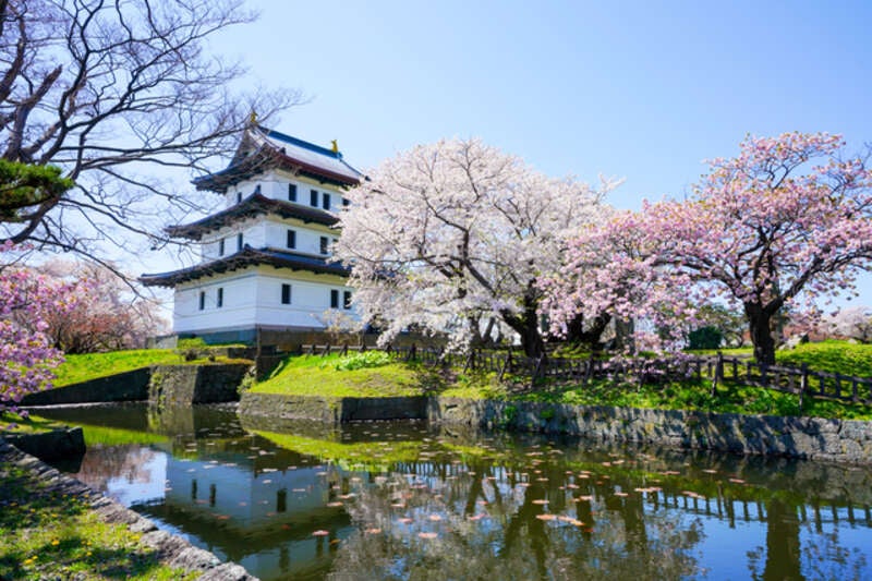 【新大阪駅・京都駅発】 《日本100名城めぐり》 桜舞う！ 日本100名城めぐり 北東北・北海道編（３日間）3
