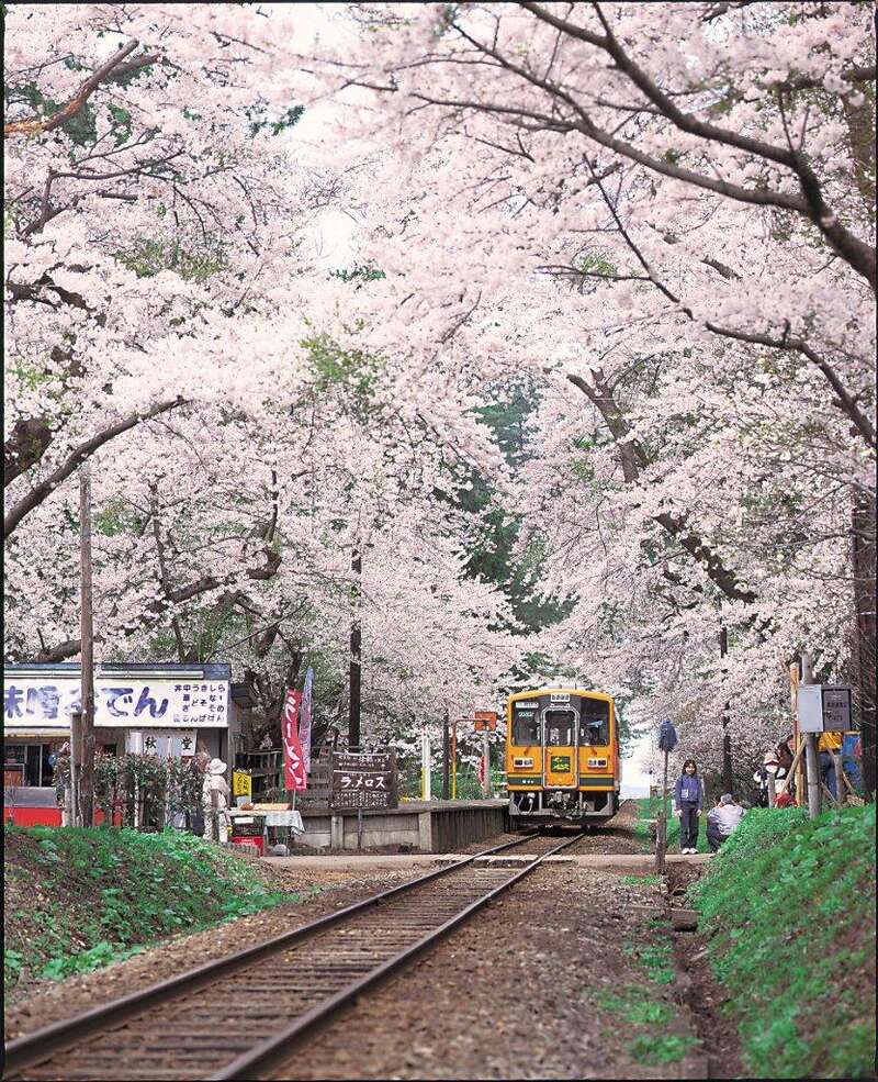 【苫小牧西港発】 春爛漫！桜舞う弘前城・芦野公園・鶴の舞橋と津軽鉄道に乗車（3日間）2
