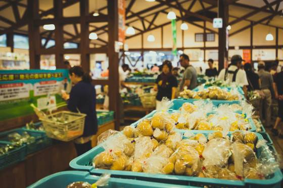 【バスハイク／天神発着】 添乗員同行 ほとめきの街久留米 巨峰ワイナリー・ごま焼酎で有名な紅乙女酒造 森のレストラン「HEURIGE」ランチ ～ワインと焼酎、久留米の味と香りをめぐる大人の美味探訪～2