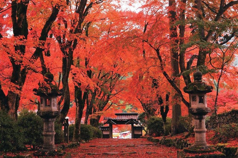＜兵庫＞丹波三山 紅葉めぐりとみんな大好き！丹波栗 満喫の旅【明石･西神中央･緑が丘出発】1