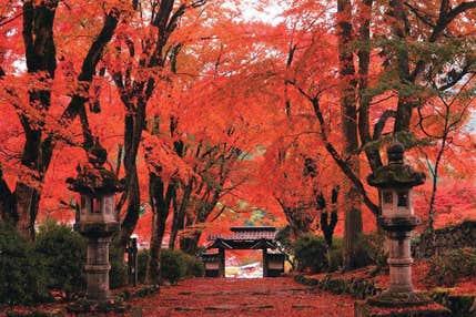 <兵庫>丹波三山 紅葉めぐりとみんな大好き!丹波栗 満喫の旅【明石・西神中央・緑が丘出発】