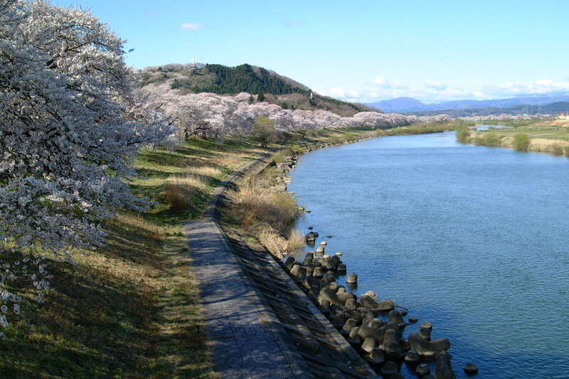 【福岡空港発】 《神社仏閣》桜舞う！  みちのく古寺巡礼 四寺廻廊  ～世界遺産 中尊寺・毛越寺・瑞巌寺・立石寺～（３日間）2