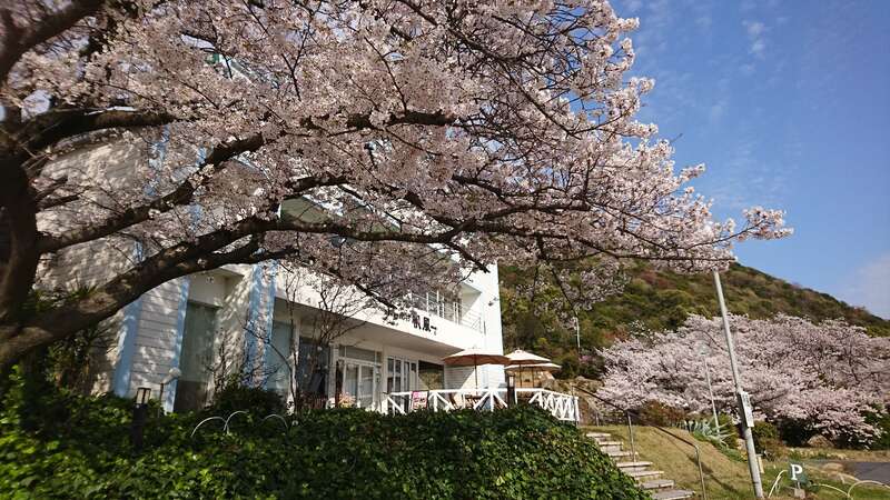 【高知県内発】 桜花爛漫　おかやま桜めぐり　日帰り3