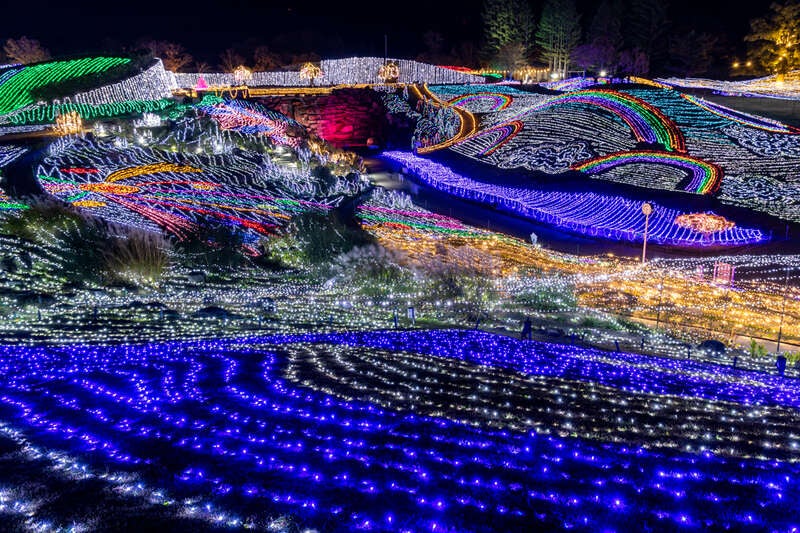 【岡山・倉敷発】 約65万球が煌く　四国最大級のイルミネーション　国営讃岐まんのう公園「ウィンターファンタジー」　日帰り2