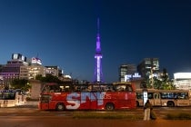 【１８時発】 あいち・なごや オープントップバス『煌めくナイトビュー！なごや夜景満喫コース』3