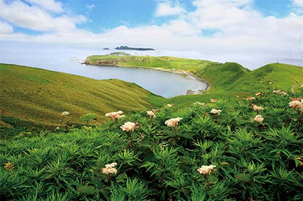 *【伊丹発着/2～4名様一室】両島をめぐり絶景と味覚を楽しむ 大自然が広がる 春の利尻島・礼文島 3日間　≪往復≫稚内空港利用だからバス移動の負担を大幅軽減！