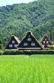 【奈良・三重エリア発】 一度は見たい絶景へ 世界遺産「白川郷」・飛騨高山 日帰り