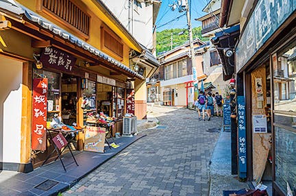 【JR/富山発着】姫路城・天橋立・伊根の舟屋クルージング・城崎温泉・有馬温泉　3日間