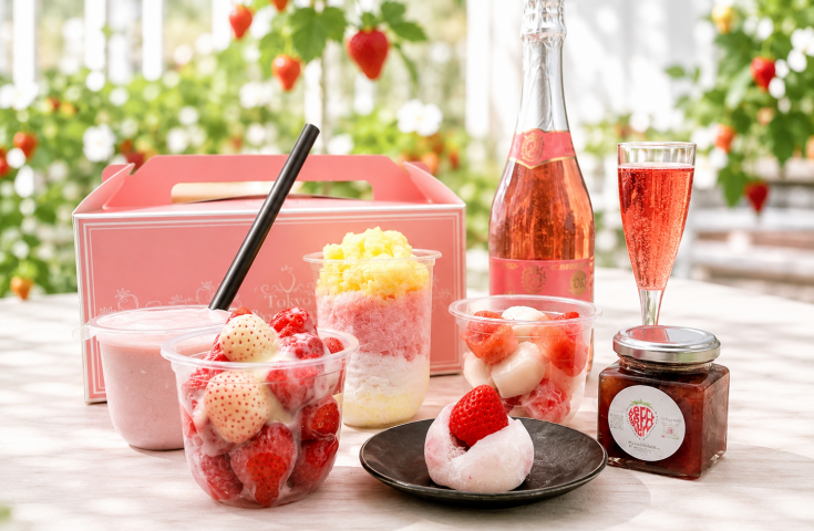 [Summer Tokyo Strawberry Bus] シティコース 【16:50発】プレミアムいちごBOX付き♪オープントップで壮快！東京観光＜GPS付自動音声ガイドシステム搭載＞2