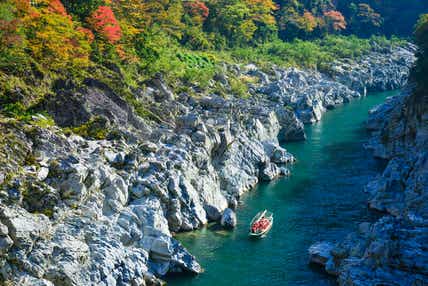 【岡山・倉敷発】 錦秋の大歩危峡遊覧船と祖谷のかずら橋　日帰り