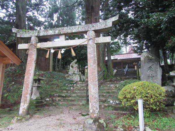 【倉敷発着】今年は蛇年！ヤマタノオロチ伝説巡りと高天原(たかまがはら）「三井野原駅」から三段式スイッチバックに乗車2