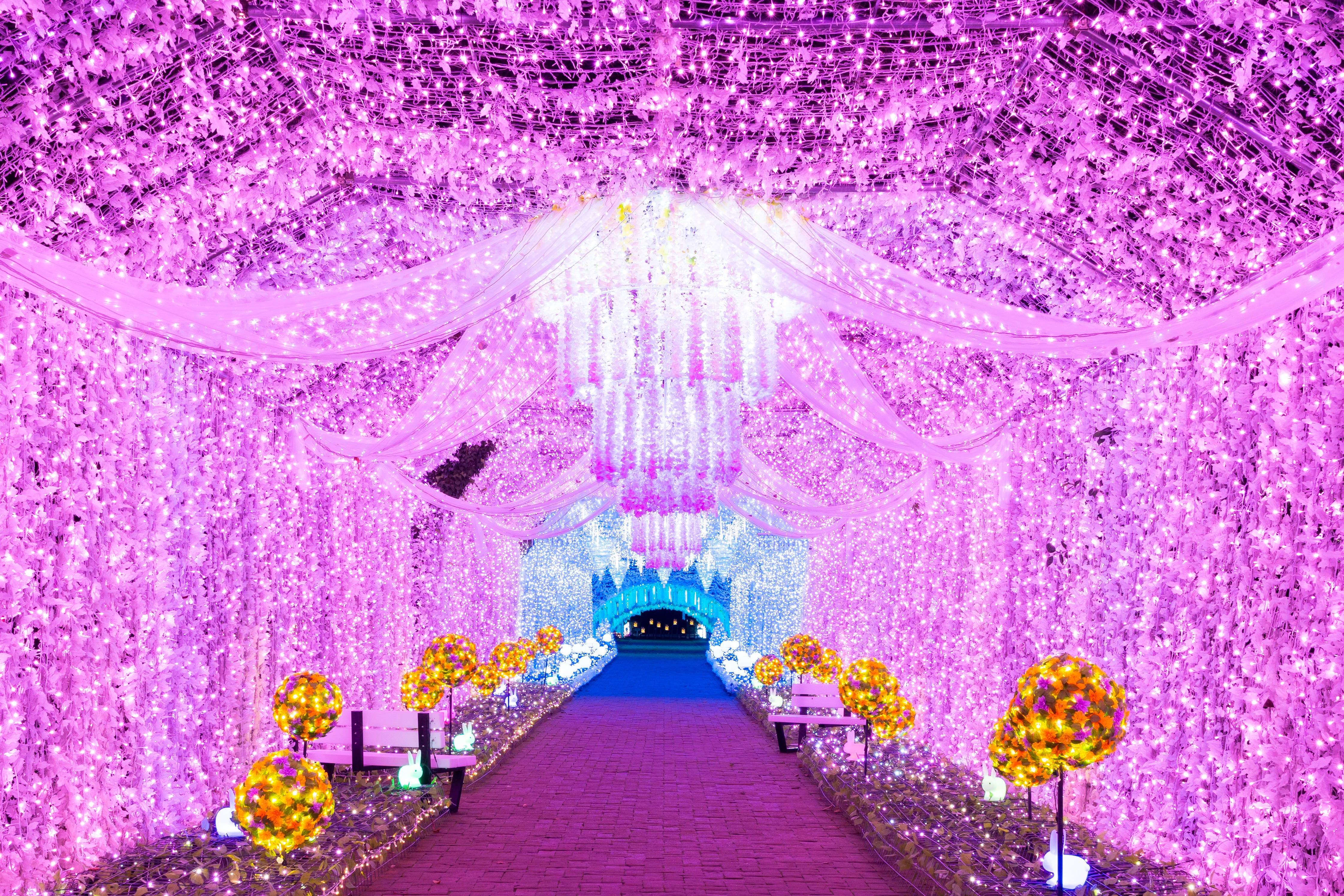 【新大阪駅・京都駅・米原駅・名古屋駅発】 祝30周年！幻想的に輝く時之栖イルミネーション＆グルメバイキングと冠雪の富士山眺望クルーズ2日間1