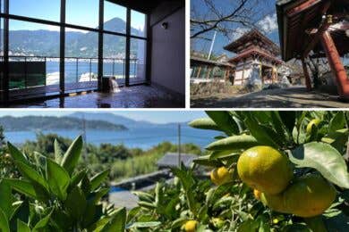 【広島駅新幹線口発着／日帰り】みかん狩り体験（周防大島町）と瀬戸内海を臨む絶景露天風呂に入浴 （周防大島町）～広島広域都市圏地域密着ツアー～