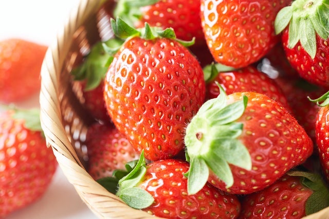 『まるで「空中イチゴ園」！高設栽培のイチゴ狩り食べ放題　茨城の味覚大満喫！土浦魚市場で新鮮マグロ食べ放題！』【平塚　出発】2