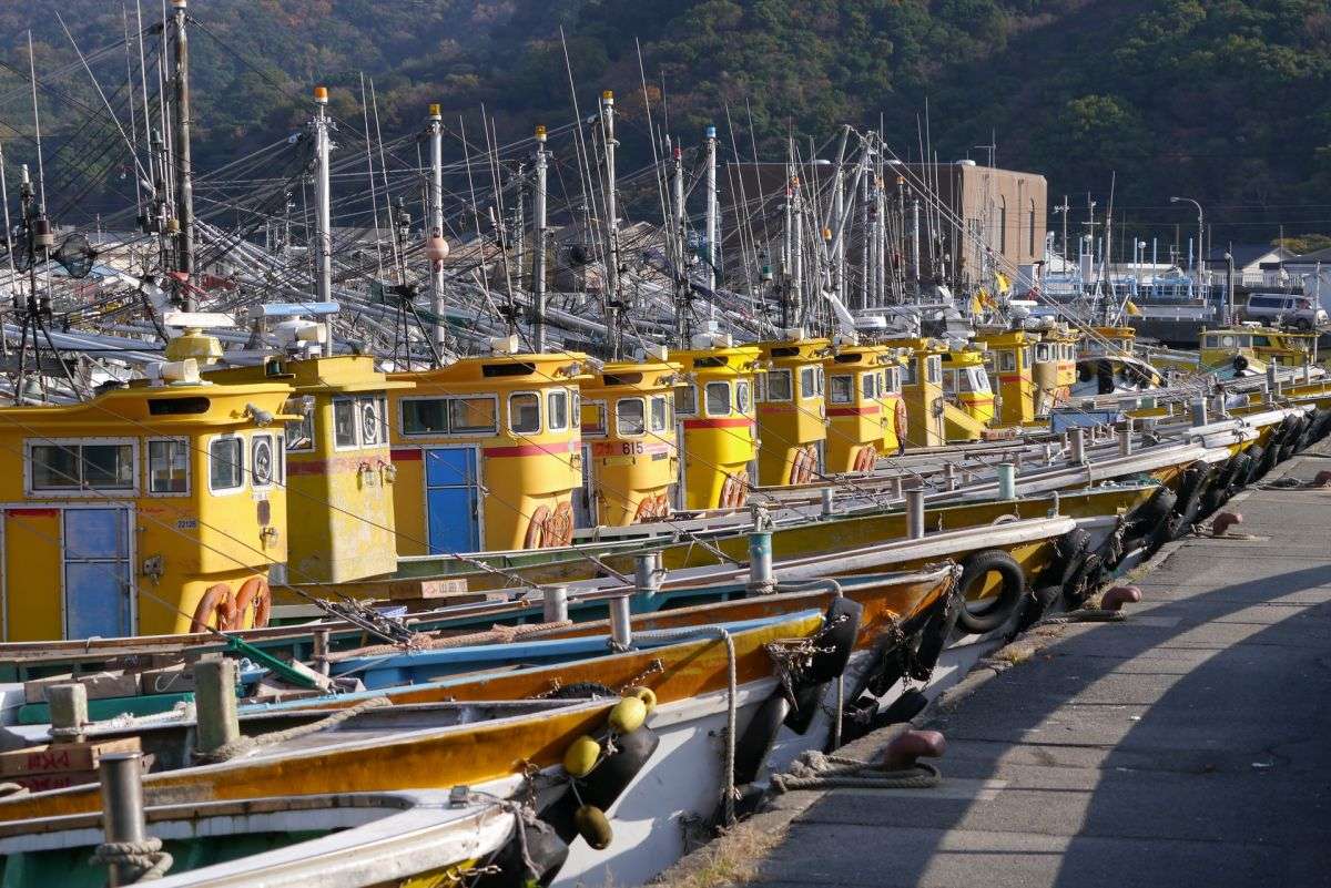 世界でここだけ！北三陸直送・雲丹牧場産　4年熟成「生雲丹御膳」を食す！【大和八木・橿原神宮・五位堂発】2