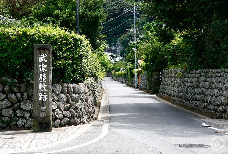 【鹿児島・薩摩川内発】秋の離島ハイキング！「太古の地球を感じる宝の島」甑島を巡る、島の自然と文化の奥深さを味わうトレッキングツアー3