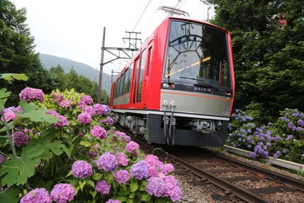 【千葉県内発】 箱根あじさい電車 沿線彩る7,000株あじさいと「御殿場高原ビール」50種食べ飲み放題！「ミナカ小田原」