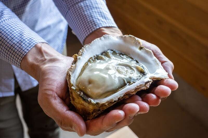 【京滋エリア発】 豪快！日本海　舞鶴の牡蠣小屋で食す！旬の岩牡蠣料理　日帰り3